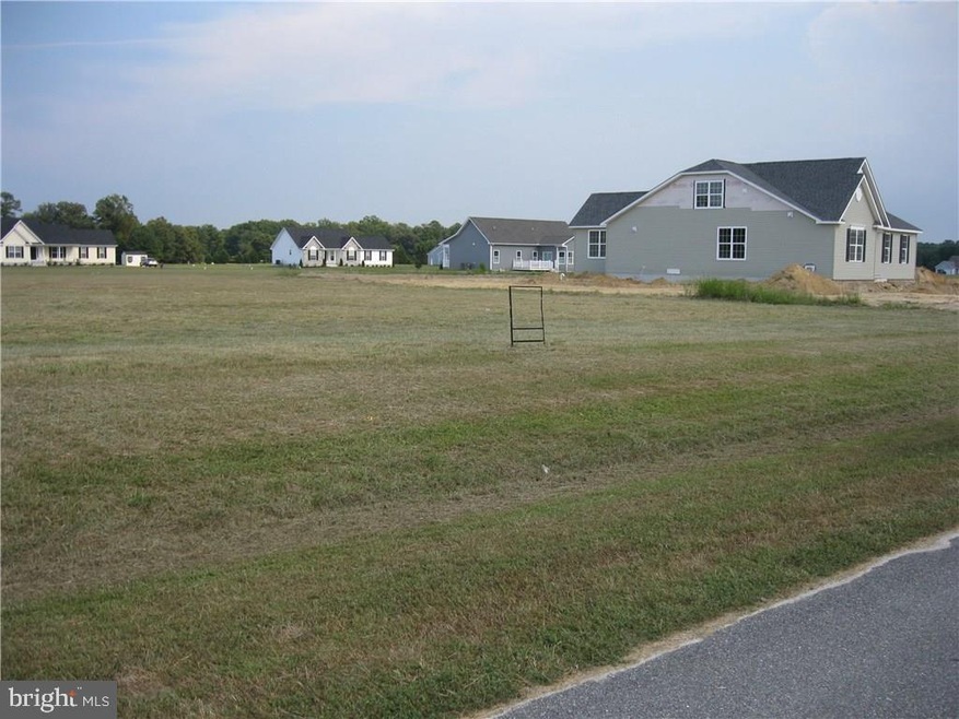 Lot 47 Beaver Way unit 47, Georgetown, DE 19947 - photo 1