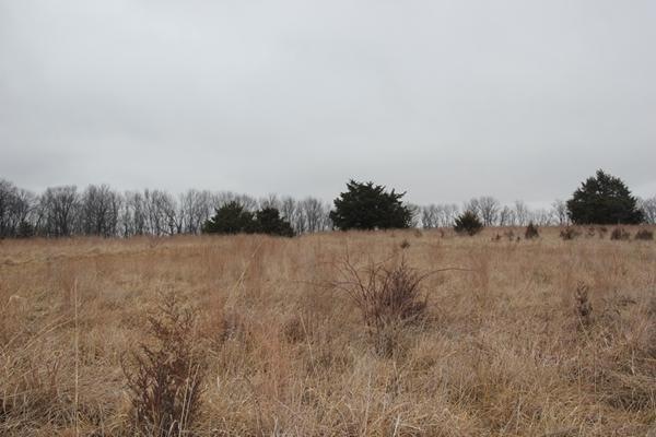 IMG_9592.jpg