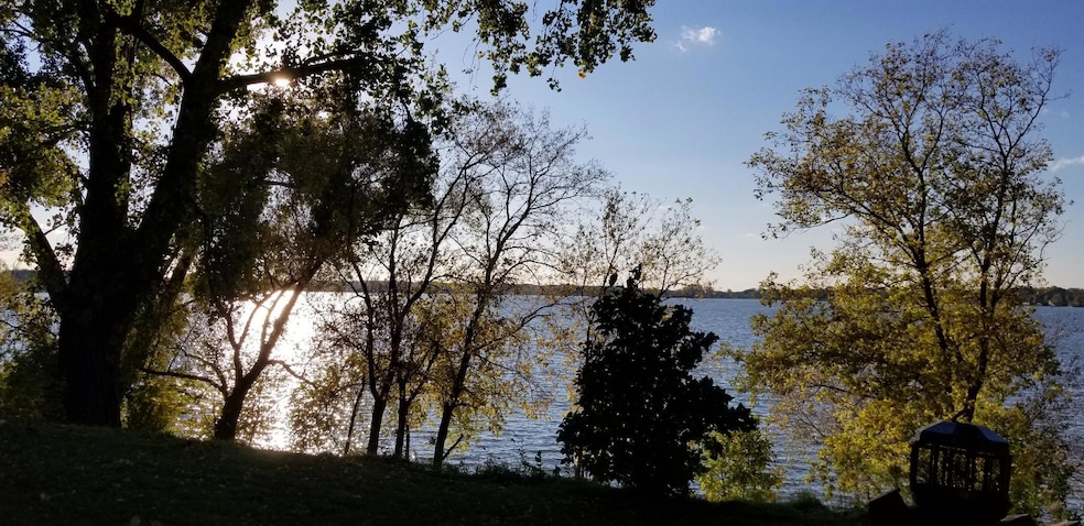 Back yard- summer.jpg