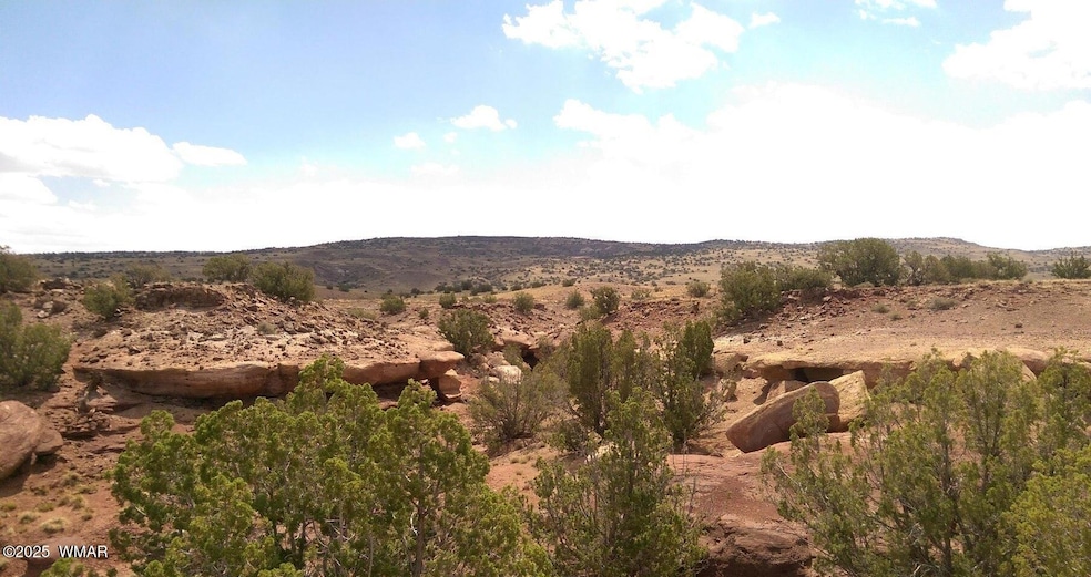 0 County Rd unit 258051, Concho, AZ 85924 - photo 1