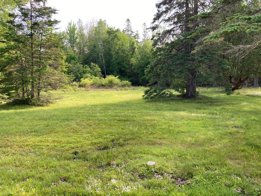 Front of lot.