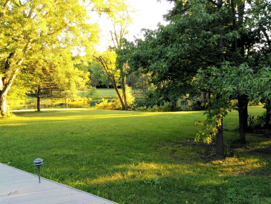 View of Pond