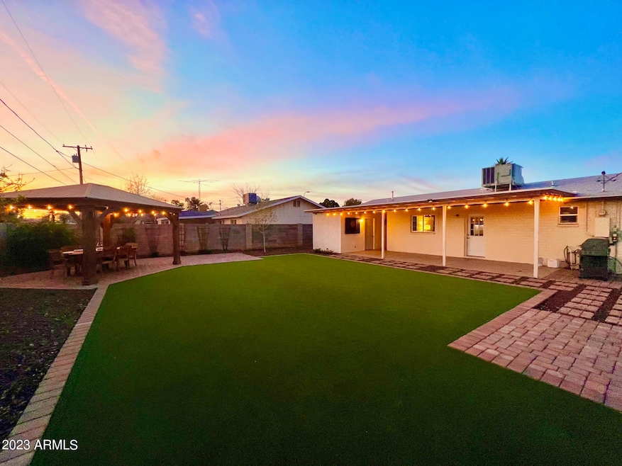 Backyard