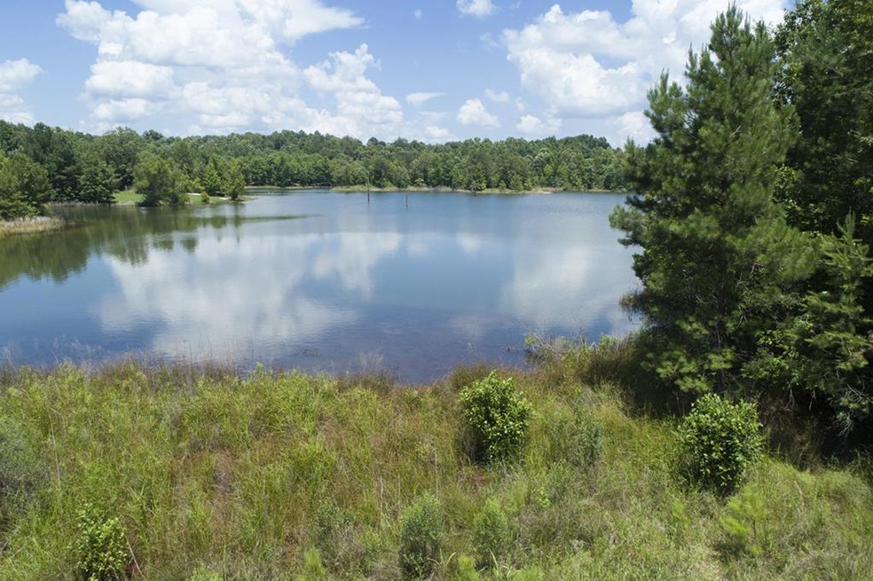 00 Spring Lake Cove, Oxford, MS 38655 - photo 1