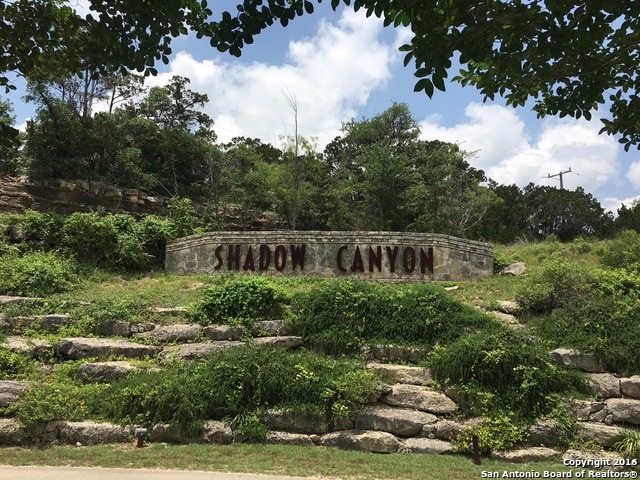 18643 Shadow Canyon Dr, Helotes, TX 78023 - photo 1