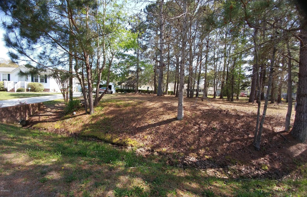 1032 Palm Ct SW, Calabash, NC 28467 - photo 1