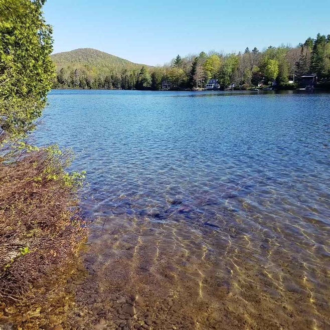 411 Martin Pond Ln unit 1, Groton, VT 05046 - photo 1