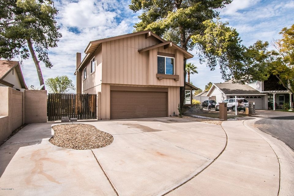 Saguaro Cir-1