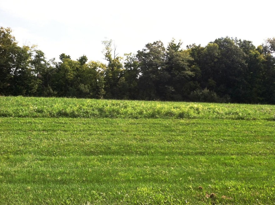 6893 Harriott Rd, Powell, OH 43065 - photo 1