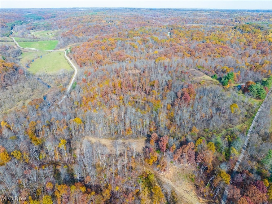 0 Hambel Rd, Union Township, OH 43758 - photo 1