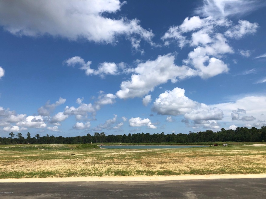 5337 Barcroft Lake Dr, Leland, NC 28451 - photo 1