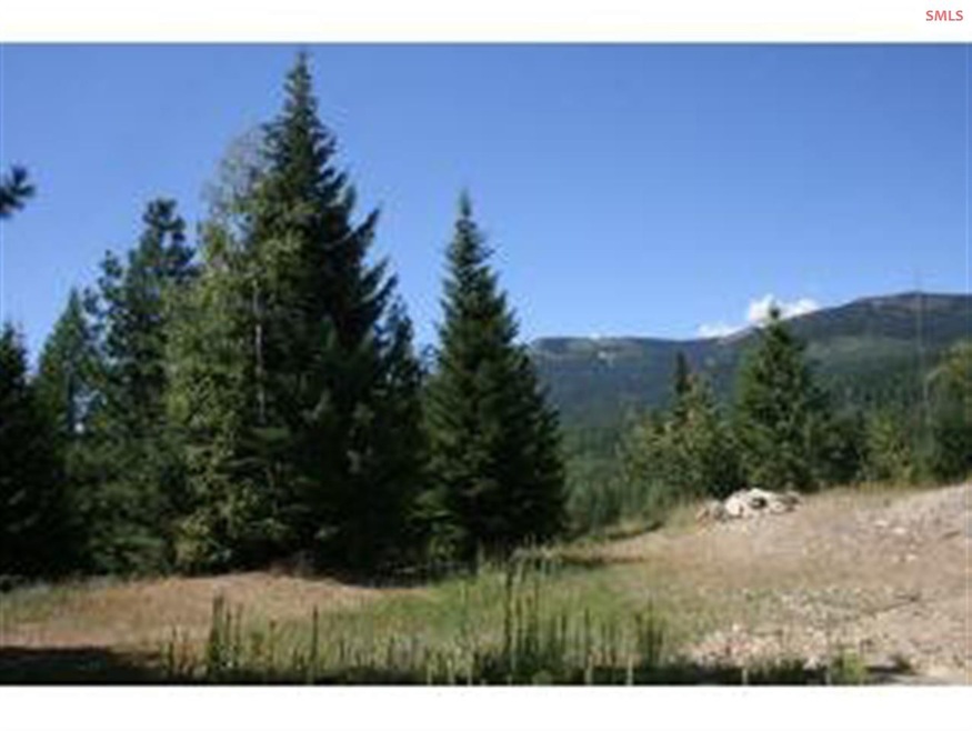 Lot 3 Larsen Ranch Ln, Sandpoint, ID 83864 - photo 1