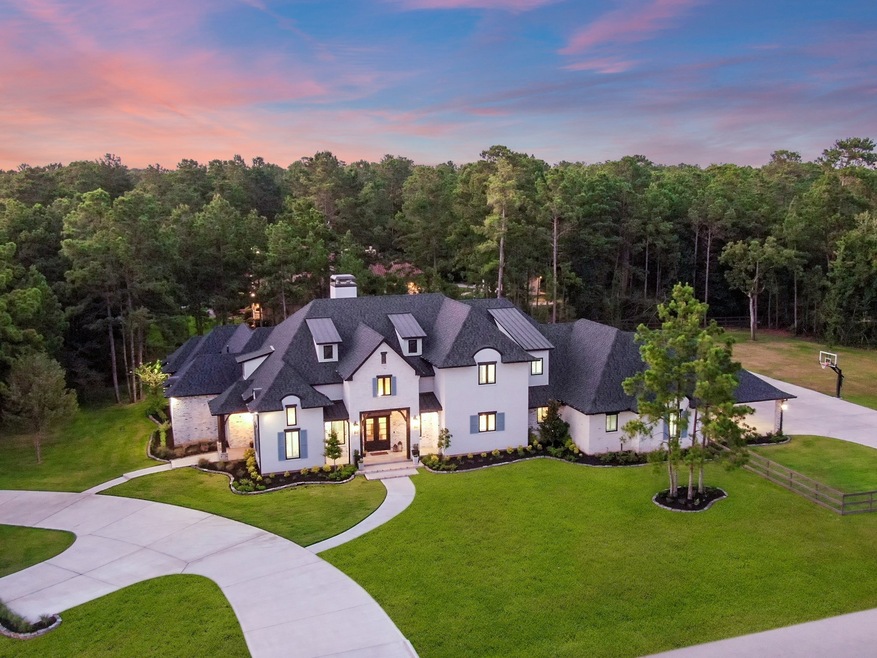 28225 Timber Oaks Ct, Magnolia, TX 77355 - photo 1