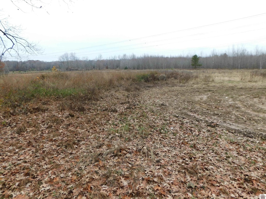 00 Lawson Johnson Rd, Benton, KY 42025 - photo 1