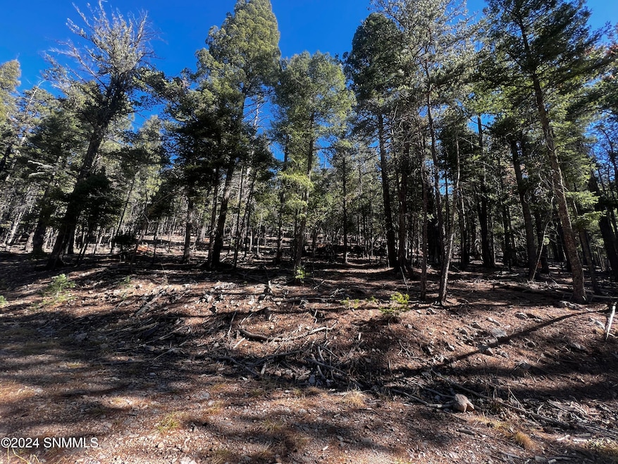 42 Forest View Rd, Cloudcroft, NM 88317 - photo 1
