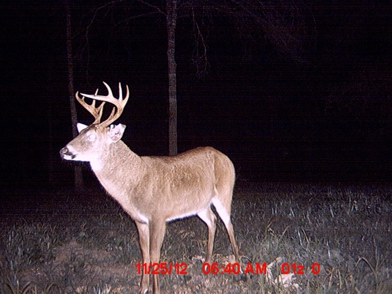 0 County Line Rd unit n/a 105620, Wray, GA 31798 - photo 1