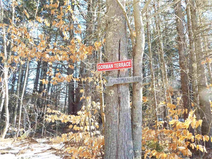 117 Gorman Terrace, Wakefield, NH 03872 - photo 1