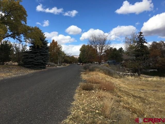1145 SE 3rd St, Cedaredge, CO 81413 - photo 1