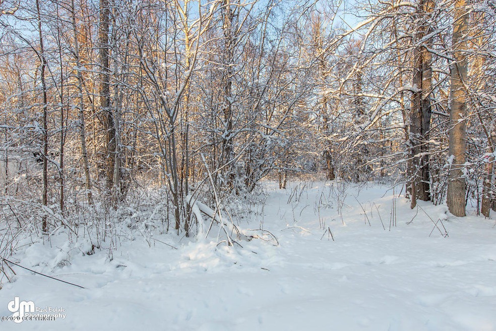 Vacant Lot Exteriors-ELKO3246-SMALL