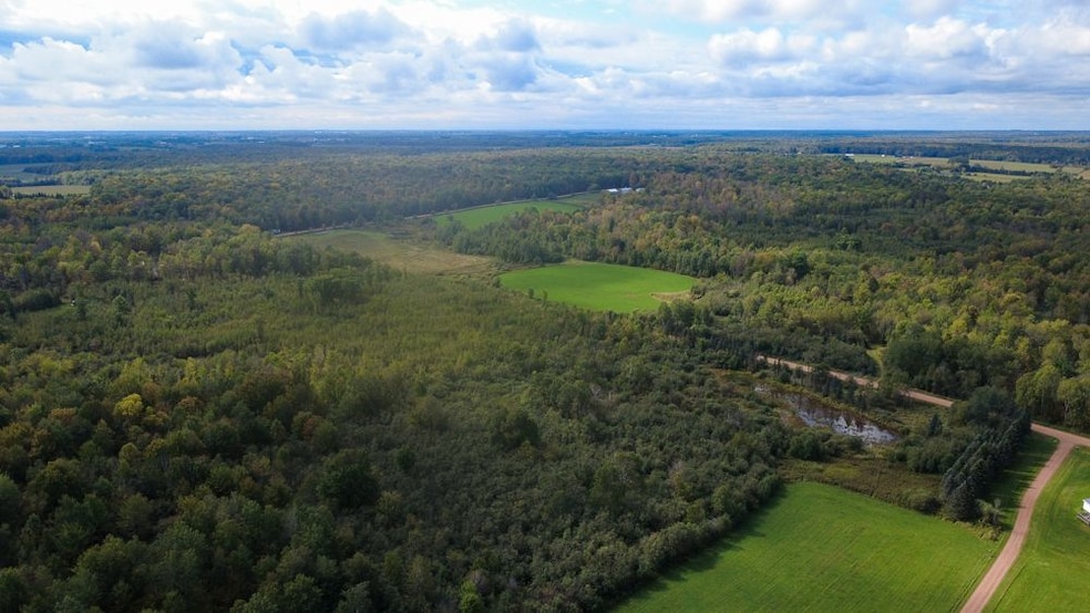 247125 Nehrbass Rd, Athens, WI 54411 - photo 1