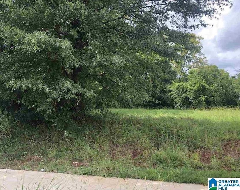 2820 Arlington Ave, Bessemer, AL 35020 - photo 1