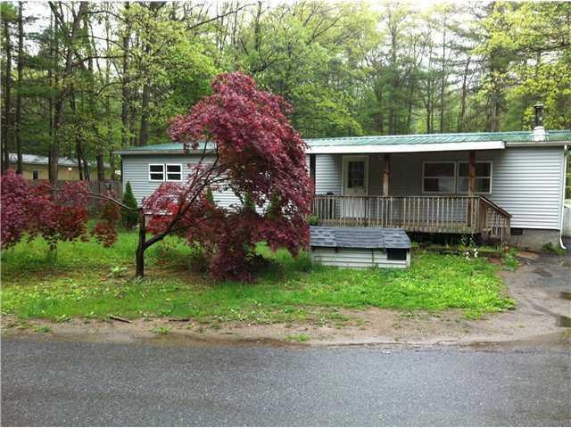 49 Grove St, Godeffroy, NY 12729 - photo 1