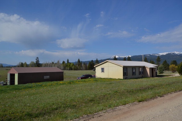 Main View