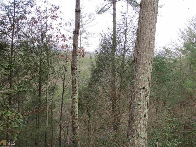 380 Horseshoe Bend Rd, Dahlonega, GA 30533 - photo 1