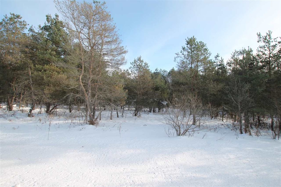 0 Ellsworth Rd unit 478422, Ellsworth, MI 49729 - photo 1