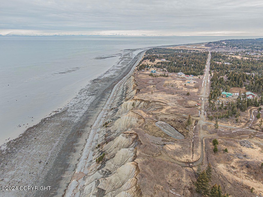 35835 Danver St, Anchor Point, AK 99556 - photo 1