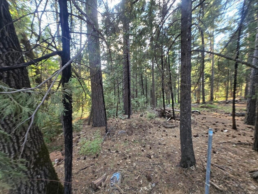 0 Frontier Rd, Oak Run, CA 96069 - photo 1