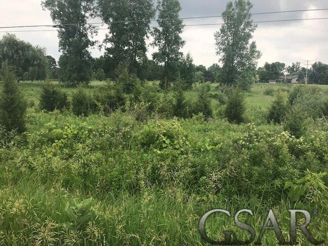 0 Lennon Rd, Lennon, MI 48449 - photo 1