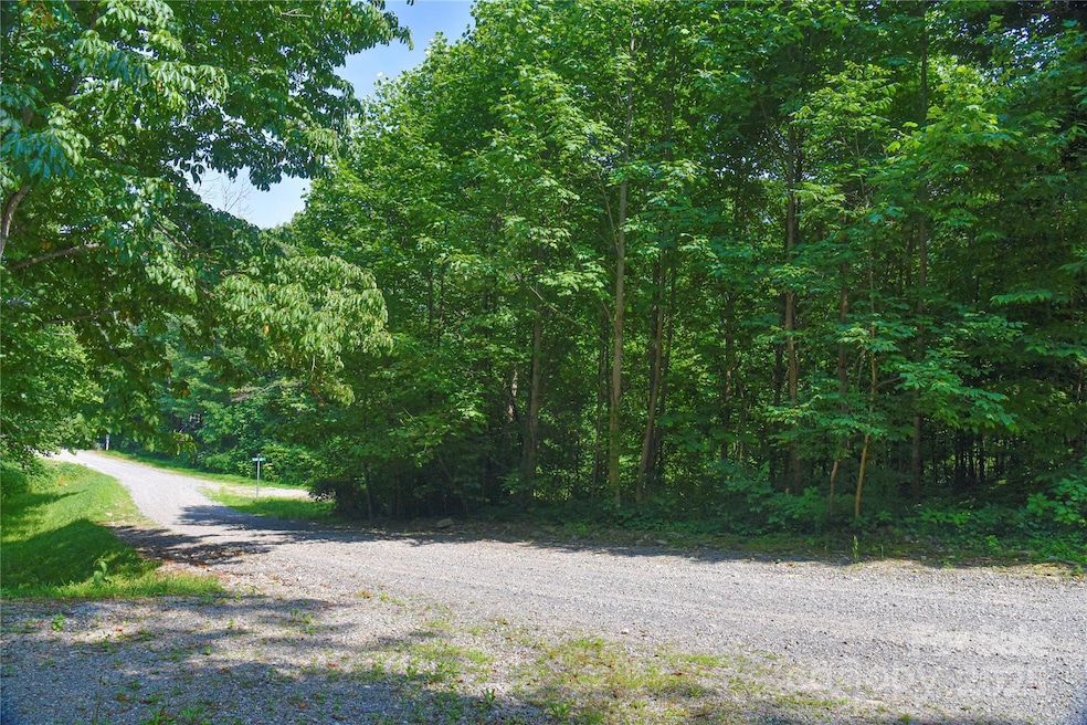 99999 Upward Way unit 36, Waynesville, NC 28785 - photo 1