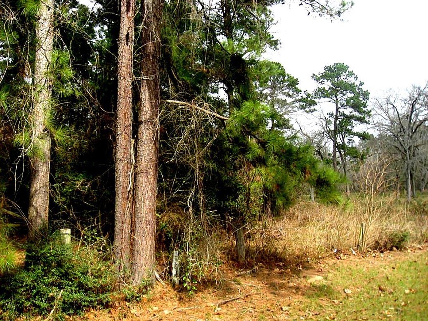 26652 Joseph, Hockley, TX 77447 - photo 1