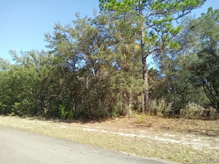 8833 N Spartan Dr, Citrus Springs, FL 34433 - photo 1