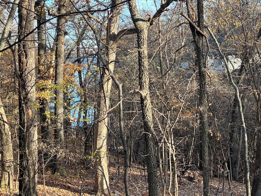 0 Vinita Cir unit 24-1384, Monkey Island, OK 74331 - photo 1