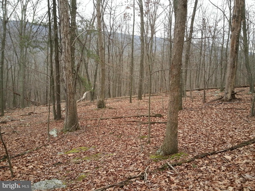 0 Center Ridge Rd unit 1002799038, Berkeley Springs, WV 25411 - photo 1