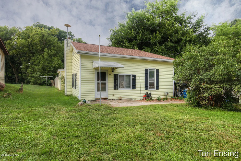 421 Hill St, Ionia, MI 48846 - photo 1