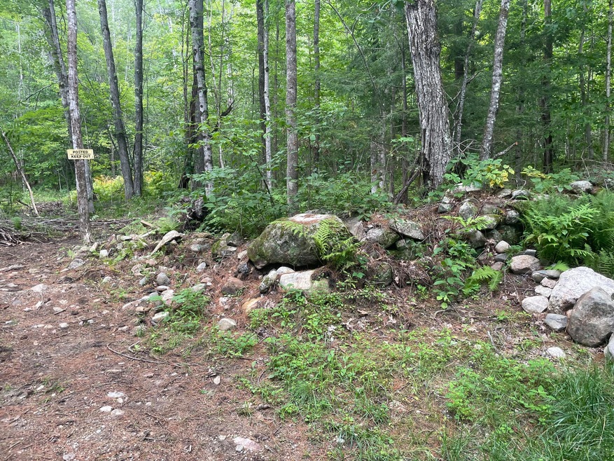 IMG-6244