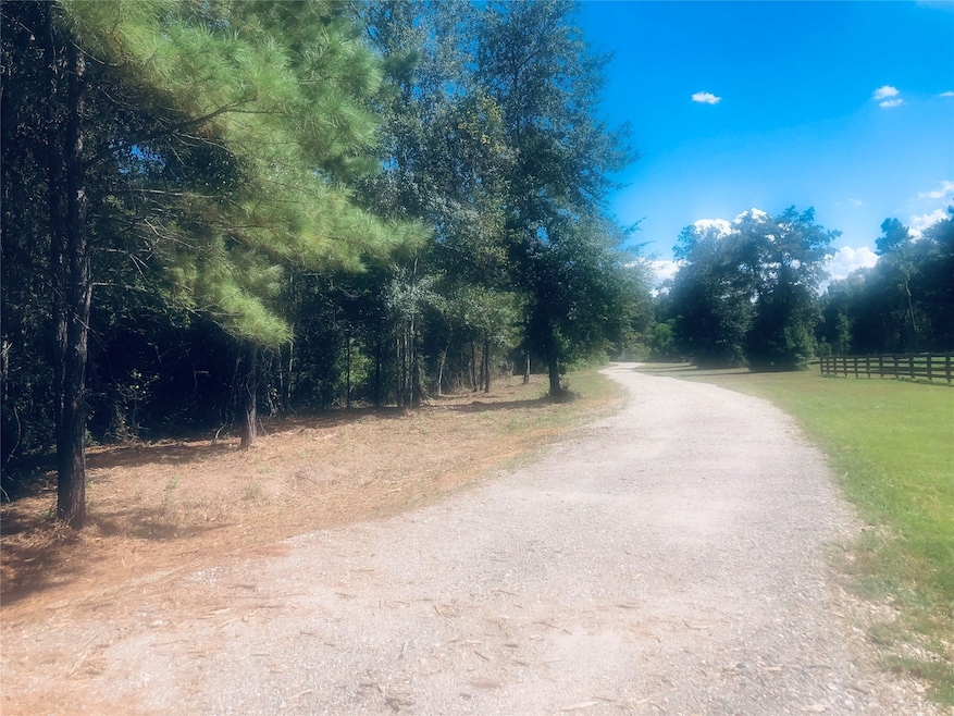 28323 Joseph Rd, Hockley, TX 77447 - photo 1