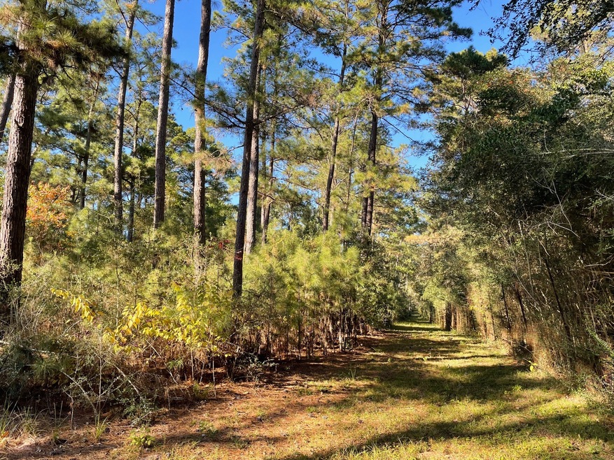 Sold • Co-Listing Agent