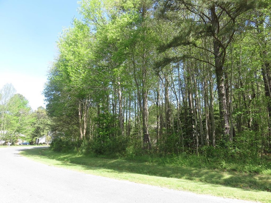 Lot 18 Yeo Neck Run Rd unit 18, Melfa, VA 23410 - photo 1