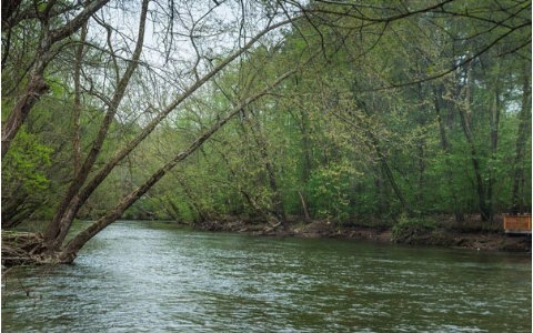 Main View