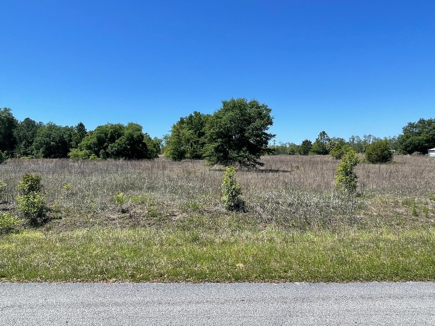 0 SW Begonia Ct unit MFRO6237579, Dunnellon, FL 34431 - photo 1