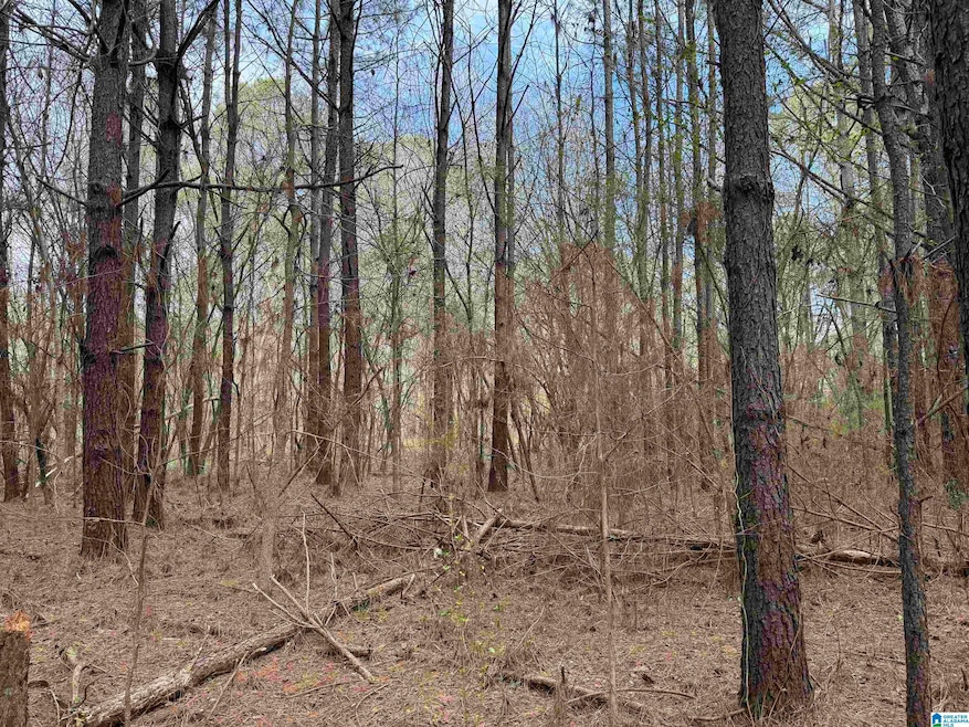 0 Wallace St unit 1, Sylacauga, AL 35151 - photo 1