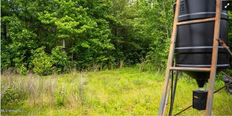 205 acres Morehouse Parish