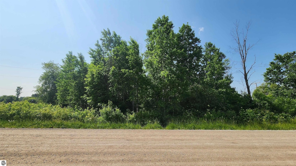 Property from Miller Rd.