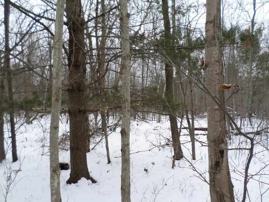 0 County Road H unit 1734948, Cutler, WI 54618 - photo 1