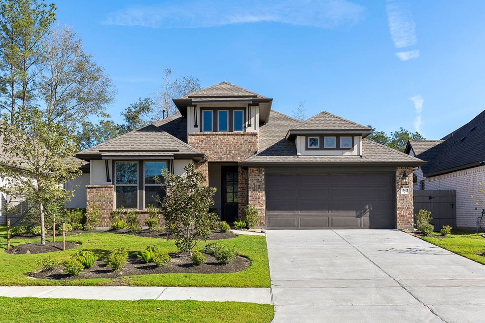 17409 Chestnut Cove Dr, Conroe, TX 77302 - photo 1