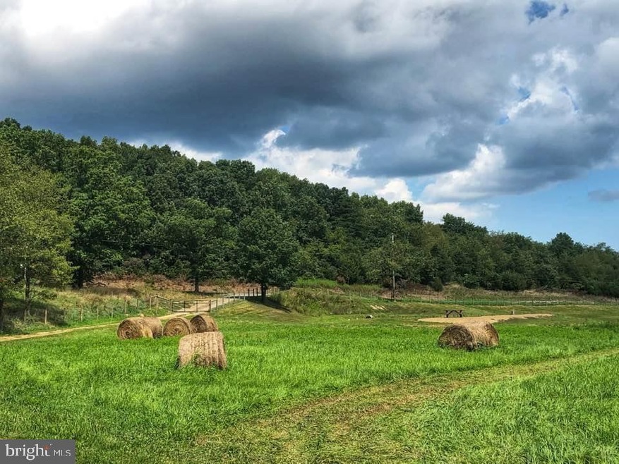 1279 Thorn Run Rd, Grant, WV 26833 - photo 1